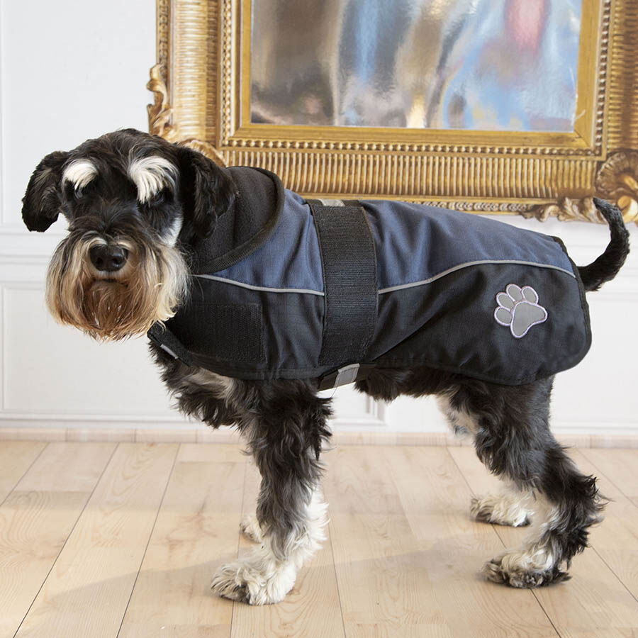 Outech Sport Abrigo Negro con Azul para perros, , large Imagen numero 3